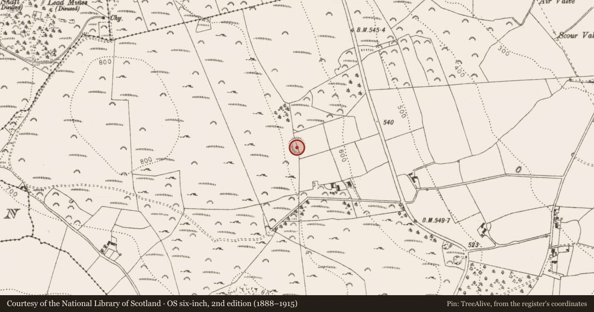 Ordnance Survey six-inch map, 2nd edition (1888–1915) covering the location of Ringfort - unclassified, Shankill, County Dublin, with a pin at the register's coordinates