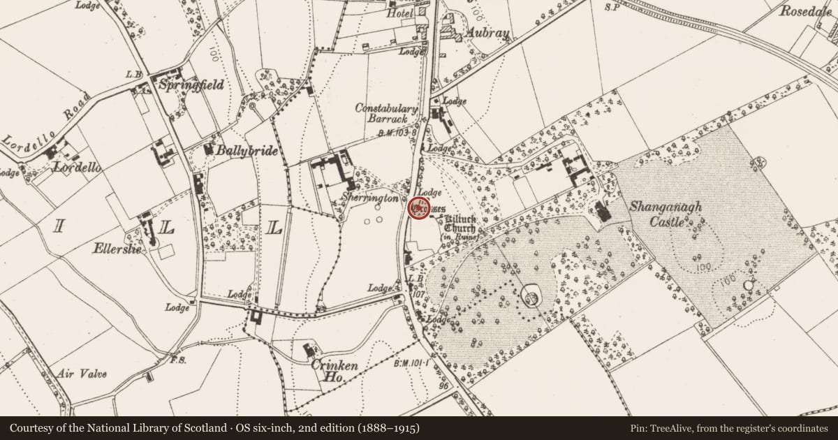 Ordnance Survey six-inch map, 2nd edition (1888–1915) covering the location of Cross, Shankill, County Dublin, with a pin at the register's coordinates
