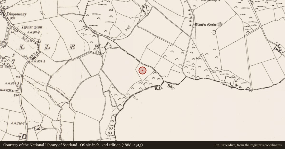 Ordnance Survey six-inch map, 2nd edition (1888–1915) covering the location of Enclosure, Glencullen, County Dublin, with a pin at the register's coordinates