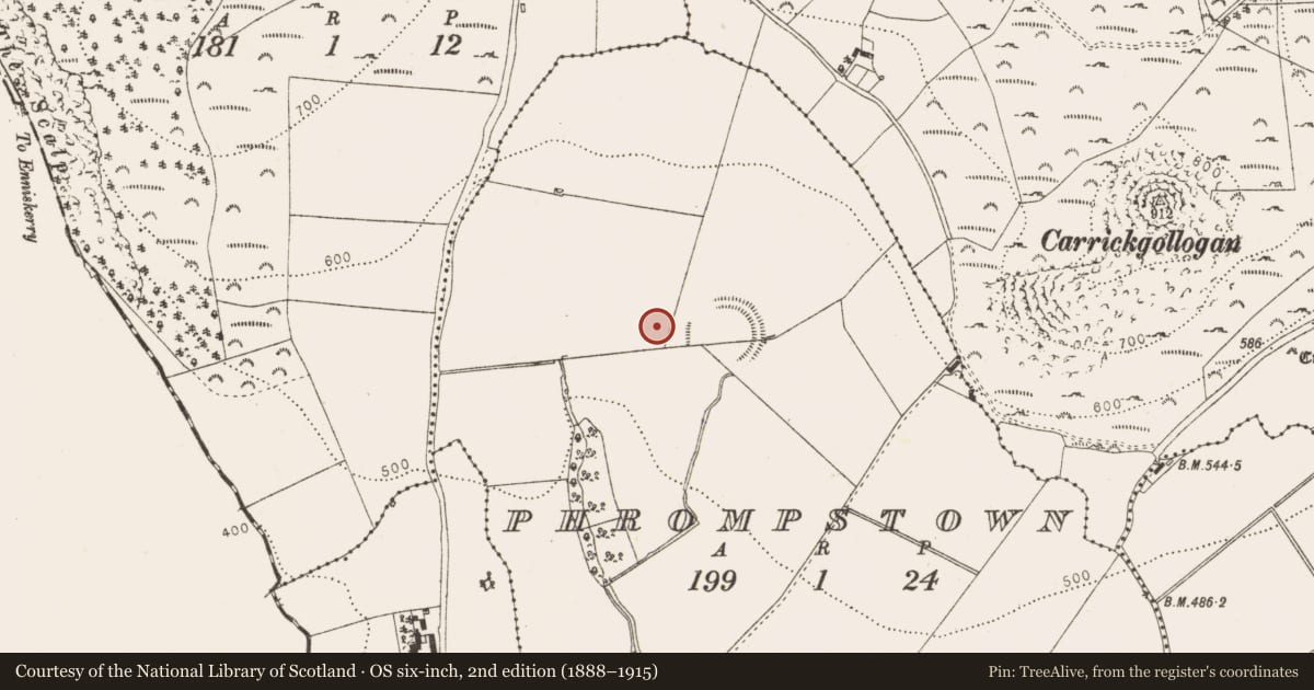 Ordnance Survey six-inch map, 2nd edition (1888–1915) covering the location of Field system, Phrompstown, County Dublin, with a pin at the register's coordinates