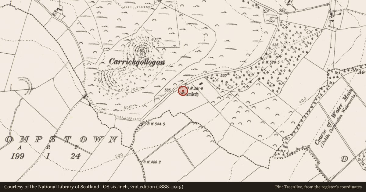 Ordnance Survey six-inch map, 2nd edition (1888–1915) covering the location of Megalithic tomb - wedge tomb, Shankill, County Dublin, with a pin at the register's coordinates