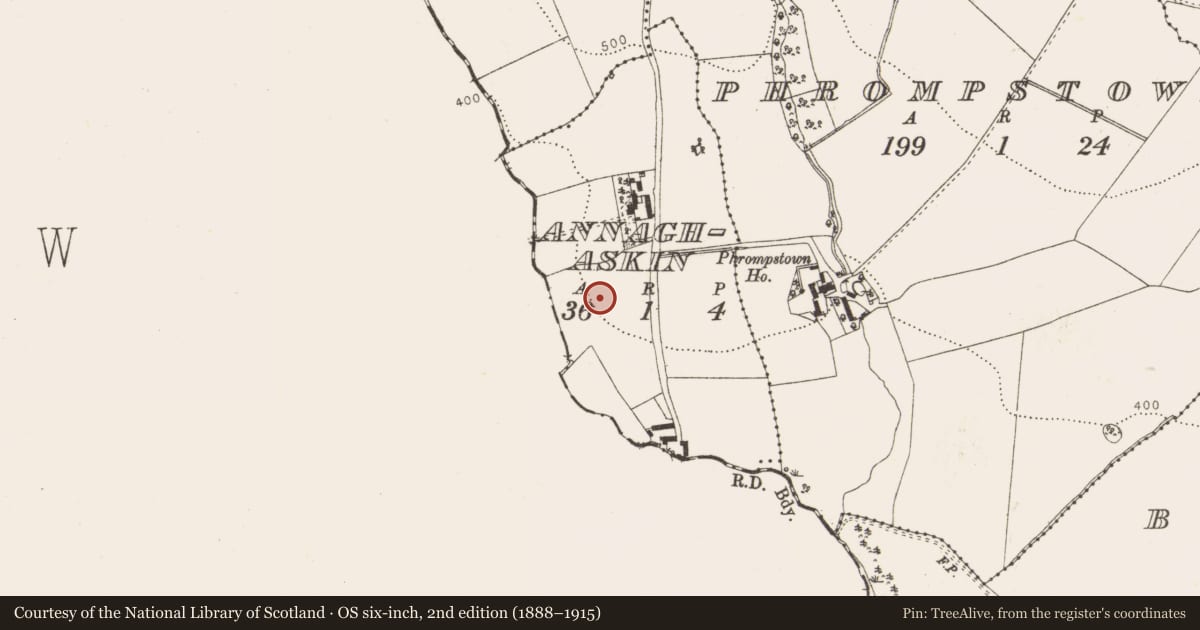 Ordnance Survey six-inch map, 2nd edition (1888–1915) covering the location of Enclosure, Annaghaskin, County Dublin, with a pin at the register's coordinates