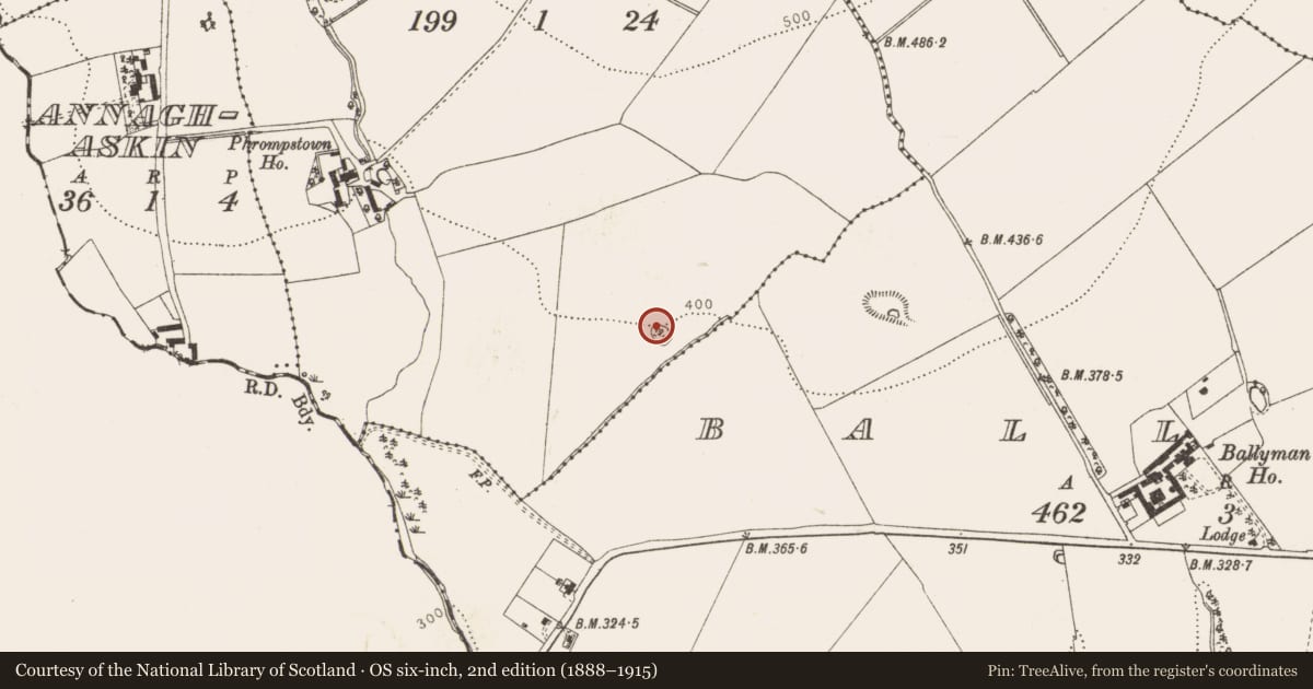 Ordnance Survey six-inch map, 2nd edition (1888–1915) covering the location of Enclosure, Phrompstown, County Dublin, with a pin at the register's coordinates