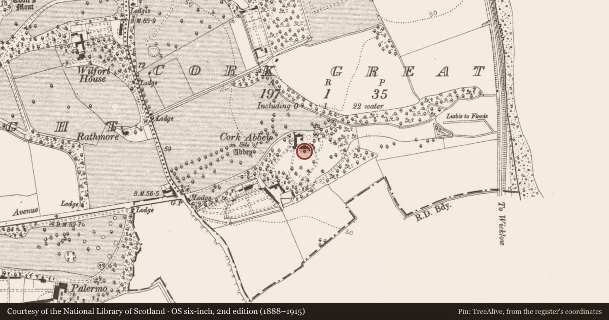 Ordnance Survey six-inch map, 2nd edition (1888–1915) covering the location of Church, Cork Great, County Dublin, with a pin at the register's coordinates
