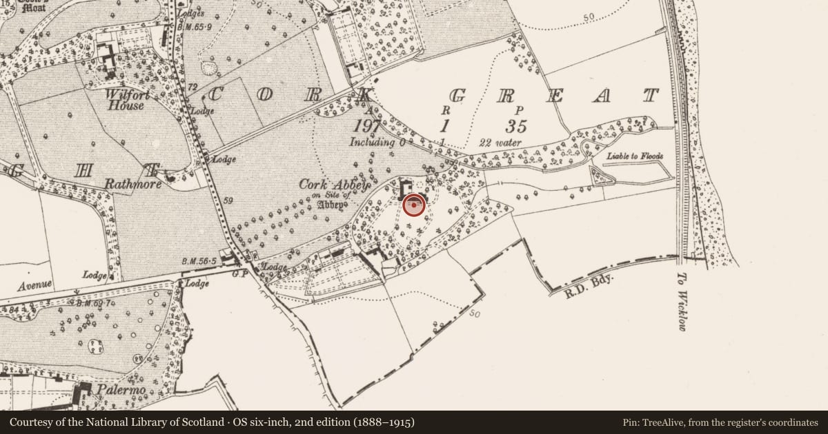 Ordnance Survey six-inch map, 2nd edition (1888–1915) covering the location of Graveyard, Cork Great, County Dublin, with a pin at the register's coordinates