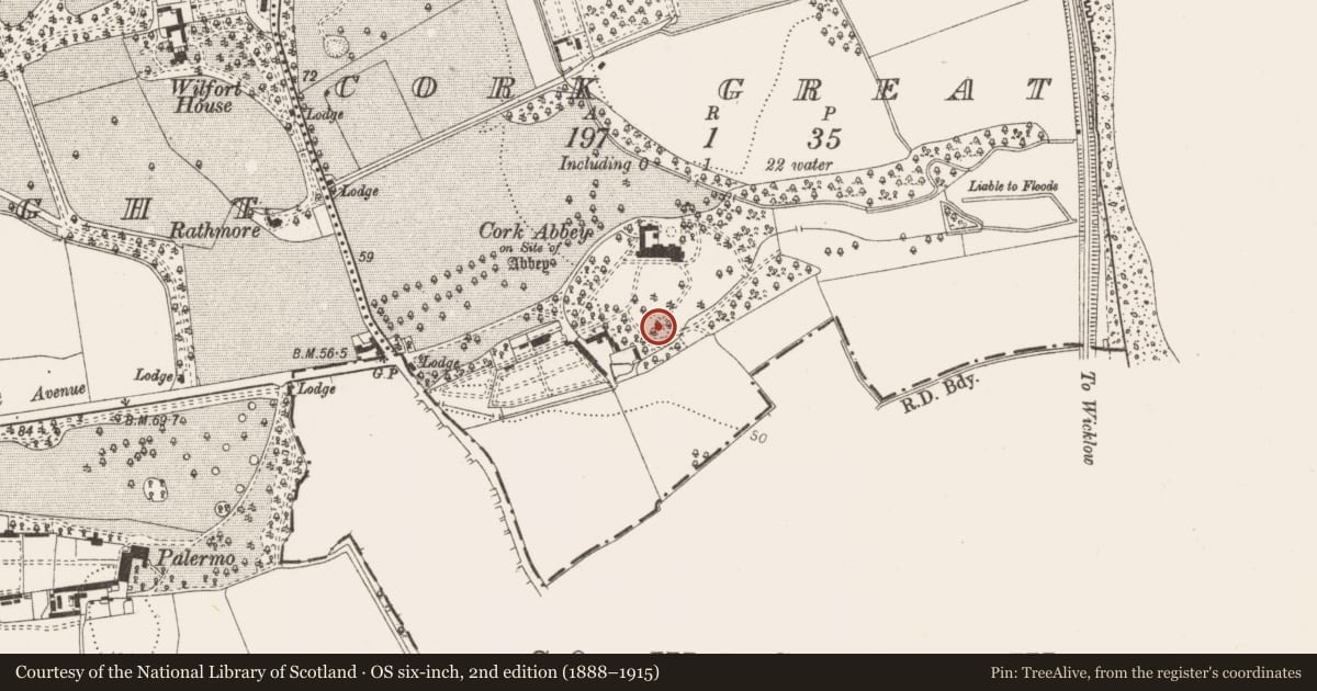 Ordnance Survey six-inch map, 2nd edition (1888–1915) covering the location of Ritual site - holy well, Cork Great, County Dublin, with a pin at the register's coordinates
