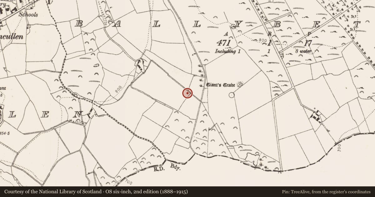 Ordnance Survey six-inch map, 2nd edition (1888–1915) covering the location of Enclosure, Ballybetagh, County Dublin, with a pin at the register's coordinates