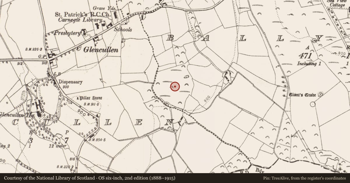 Ordnance Survey six-inch map, 2nd edition (1888–1915) covering the location of Enclosure, Ballybetagh, County Dublin, with a pin at the register's coordinates