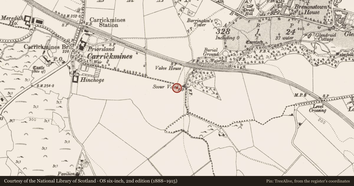 Ordnance Survey six-inch map, 2nd edition (1888–1915) covering the location of Water mill - unclassified, Brenanstown, Carrickmines Great, County Dublin, with a pin at the register's coordinates