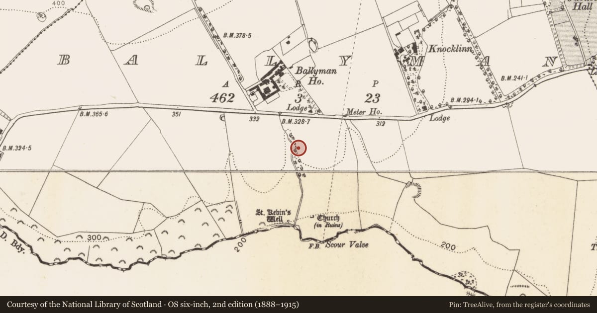 Ordnance Survey six-inch map, 2nd edition (1888–1915) covering the location of Pit-burial, Ballyman, County Dublin, with a pin at the register's coordinates