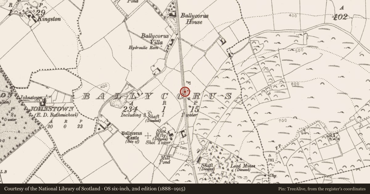 Ordnance Survey six-inch map, 2nd edition (1888–1915) covering the location of Mining complex, Ballycorus, County Dublin, with a pin at the register's coordinates