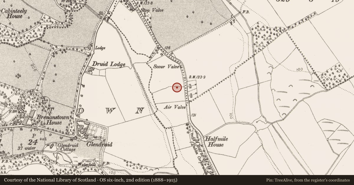 Ordnance Survey six-inch map, 2nd edition (1888–1915) covering the location of Burial ground, Loughlinstown, County Dublin, with a pin at the register's coordinates