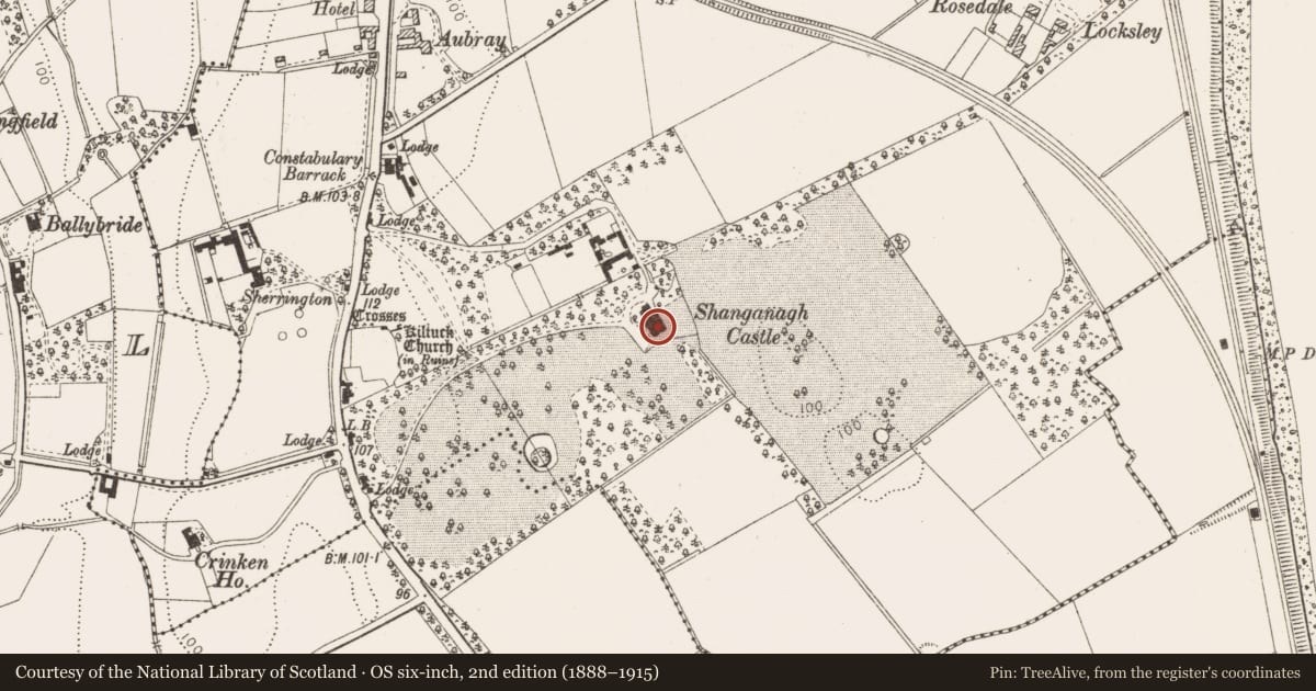 Ordnance Survey six-inch map, 2nd edition (1888–1915) covering the location of Castle - unclassified, Shanganagh, County Dublin, with a pin at the register's coordinates