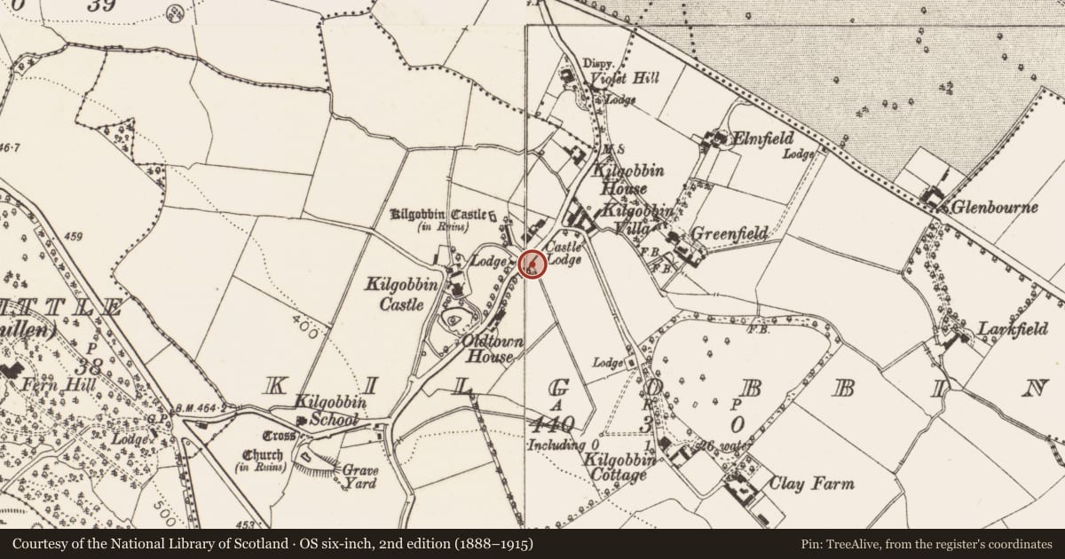 Ordnance Survey six-inch map, 2nd edition (1888–1915) covering the location of Linear earthwork, Kilgobbin, County Dublin, with a pin at the register's coordinates