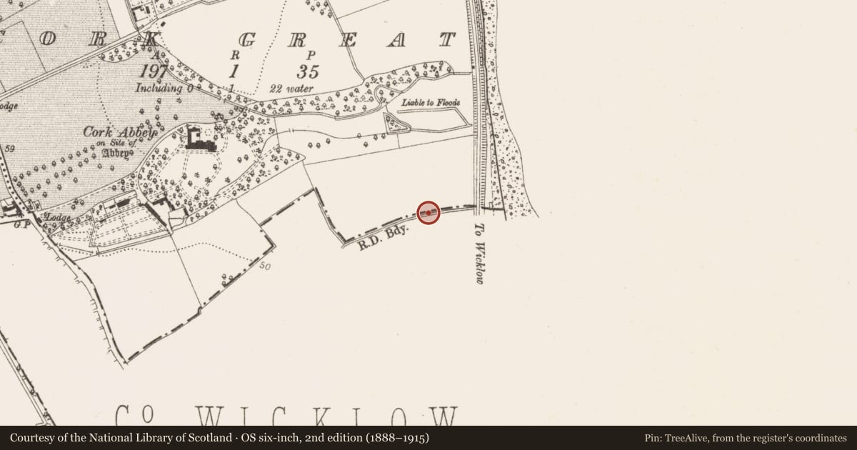 Ordnance Survey six-inch map, 2nd edition (1888–1915) covering the location of Linear earthwork, Cork Great, County Dublin, with a pin at the register's coordinates