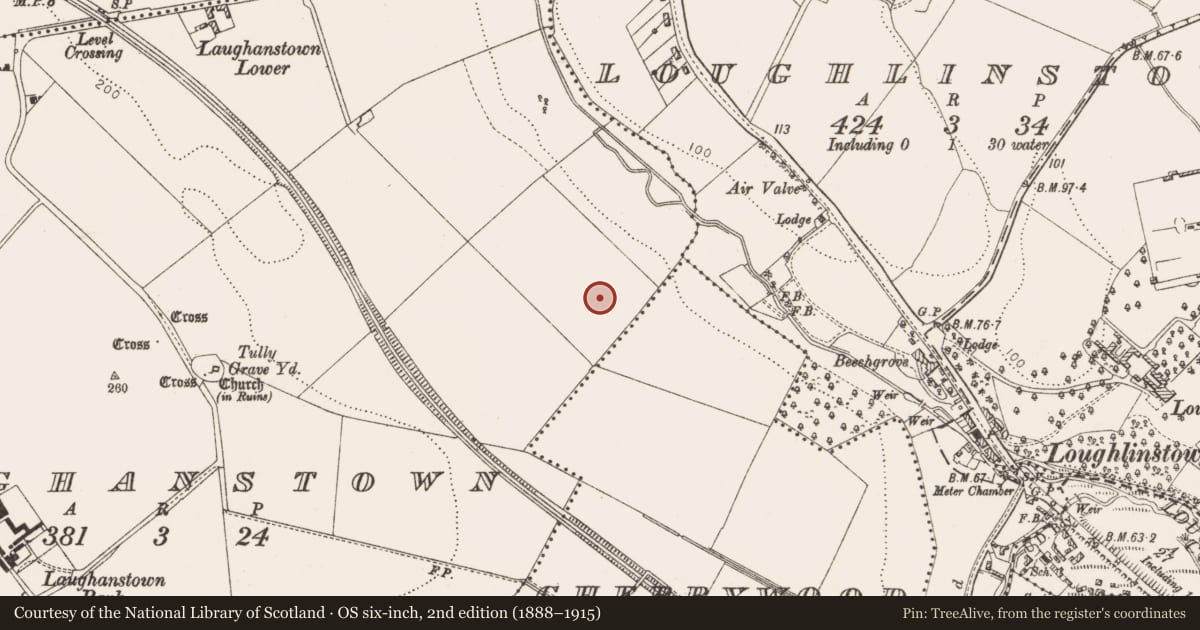 Ordnance Survey six-inch map, 2nd edition (1888–1915) covering the location of Military camp, Laughanstown, County Dublin, with a pin at the register's coordinates