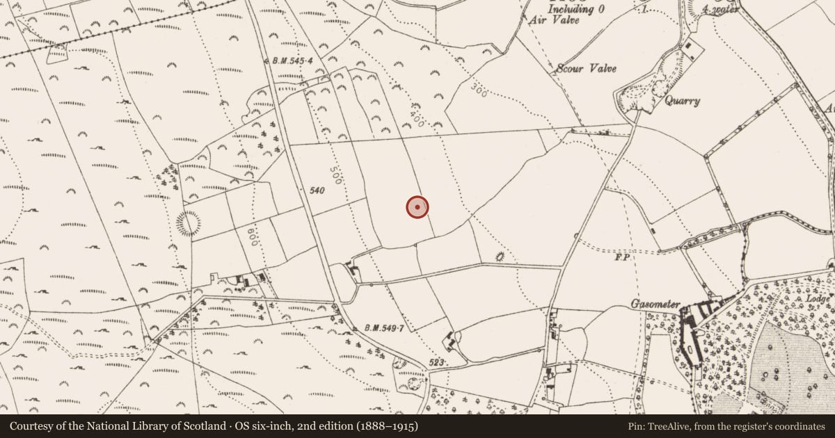 Ordnance Survey six-inch map, 2nd edition (1888–1915) covering the location of Megalithic tomb - unclassified, Shankill, County Dublin, with a pin at the register's coordinates