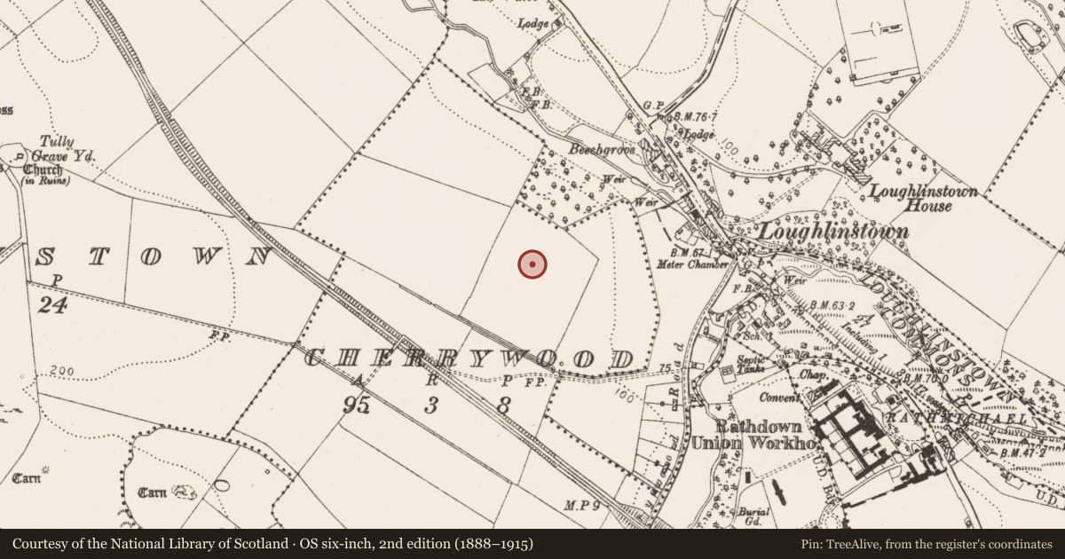 Ordnance Survey six-inch map, 2nd edition (1888–1915) covering the location of Barrow - ring-barrow, Cherrywood, County Dublin, with a pin at the register's coordinates