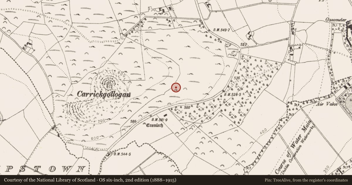 Ordnance Survey six-inch map, 2nd edition (1888–1915) covering the location of Fulacht fia, Shankill, County Dublin, with a pin at the register's coordinates