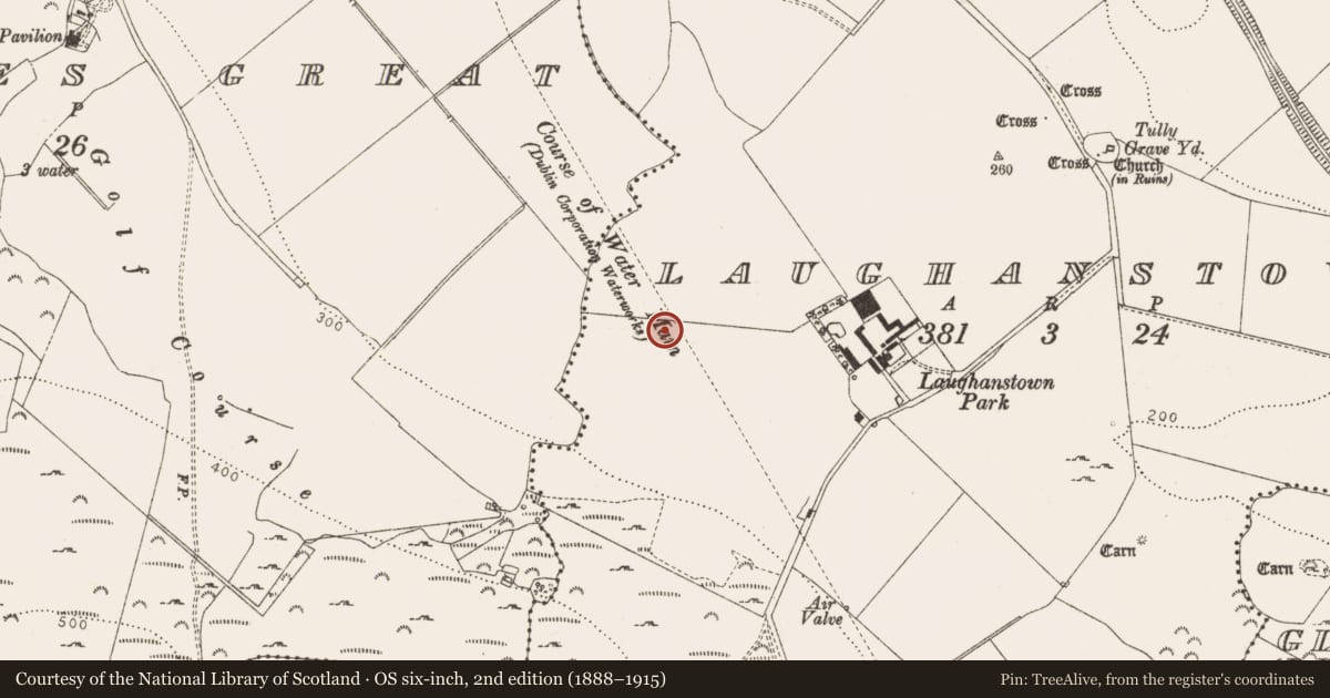 Ordnance Survey six-inch map, 2nd edition (1888–1915) covering the location of Rock art, Laughanstown, County Dublin, with a pin at the register's coordinates
