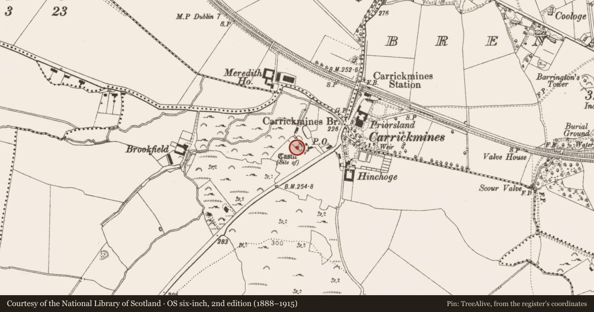 Ordnance Survey six-inch map, 2nd edition (1888–1915) covering the location of Rock art, Carrickmines Great, County Dublin, with a pin at the register's coordinates