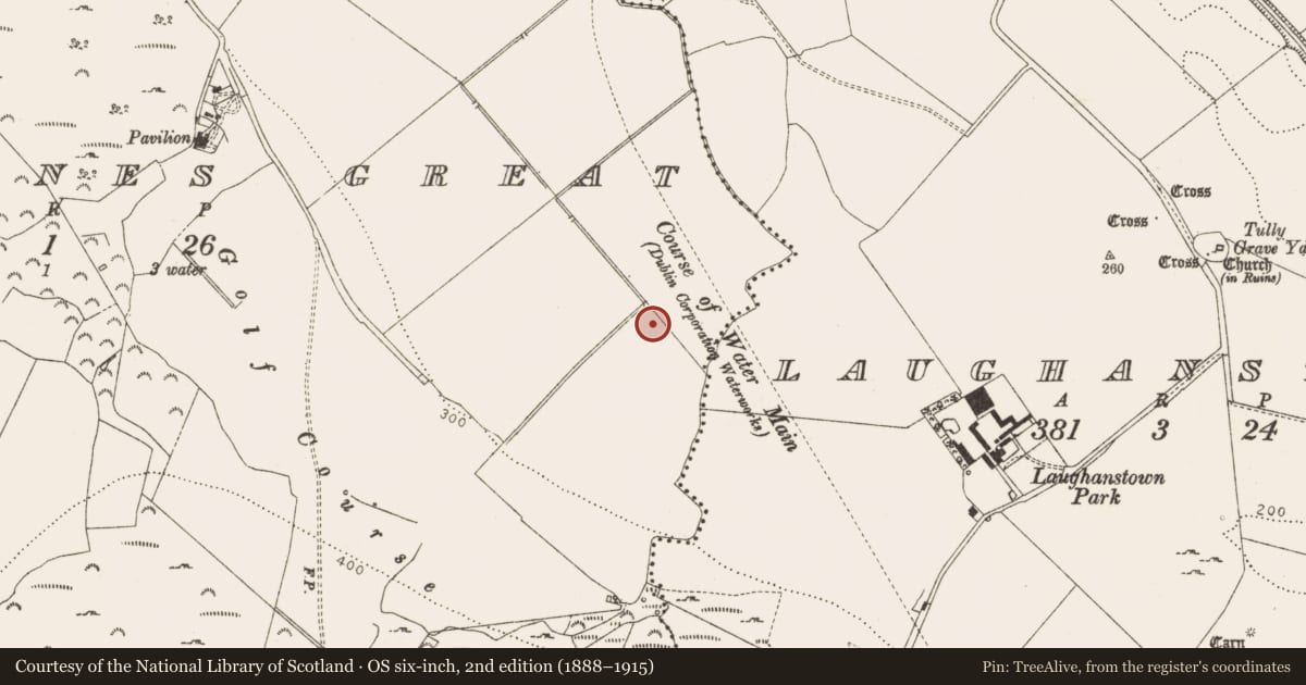 Ordnance Survey six-inch map, 2nd edition (1888–1915) covering the location of Fulacht fia, Carrickmines Great, County Dublin, with a pin at the register's coordinates