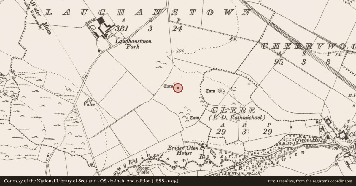 Ordnance Survey six-inch map, 2nd edition (1888–1915) covering the location of Cairn - ring-cairn, Laughanstown, County Dublin, with a pin at the register's coordinates