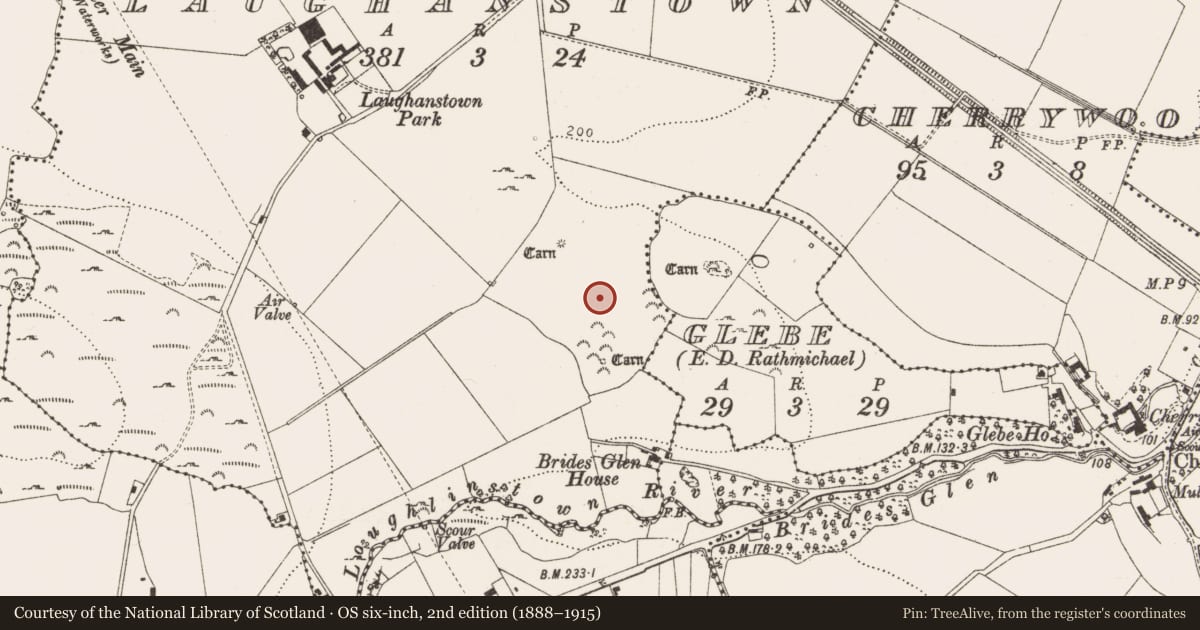 Ordnance Survey six-inch map, 2nd edition (1888–1915) covering the location of Field system, Laughanstown, County Dublin, with a pin at the register's coordinates