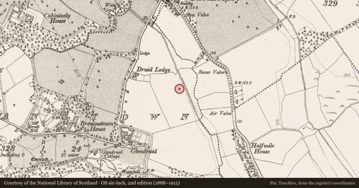 Ordnance Survey six-inch map, 2nd edition (1888–1915) covering the location of Fulacht fia, Brenanstown, County Dublin, with a pin at the register's coordinates