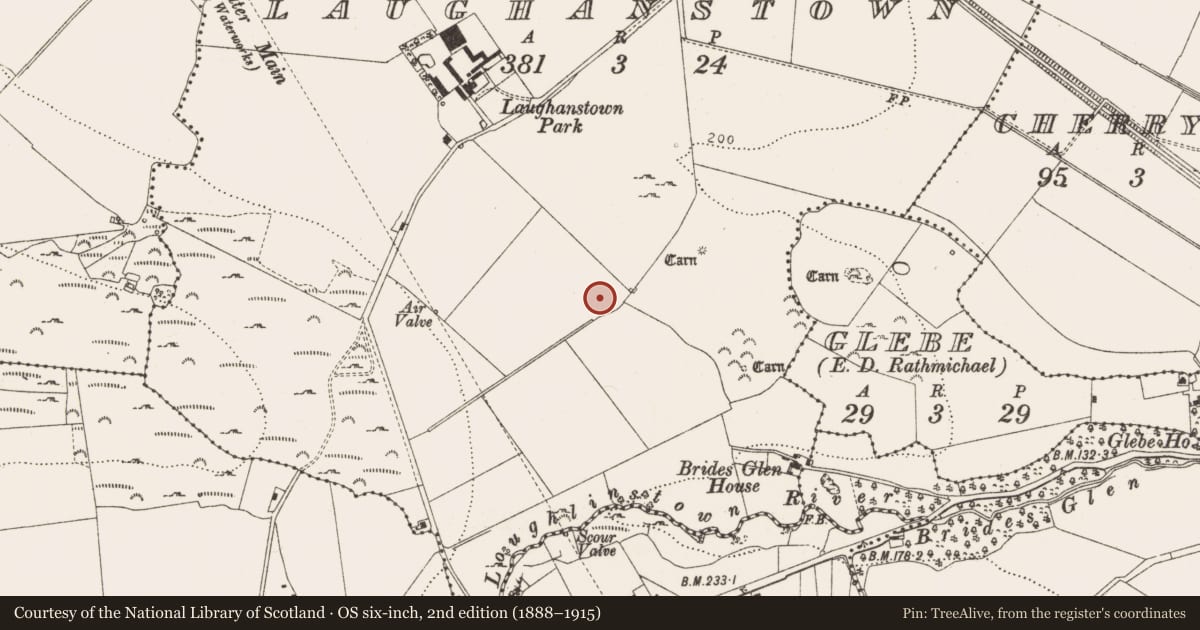 Ordnance Survey six-inch map, 2nd edition (1888–1915) covering the location of Habitation site, Laughanstown, County Dublin, with a pin at the register's coordinates