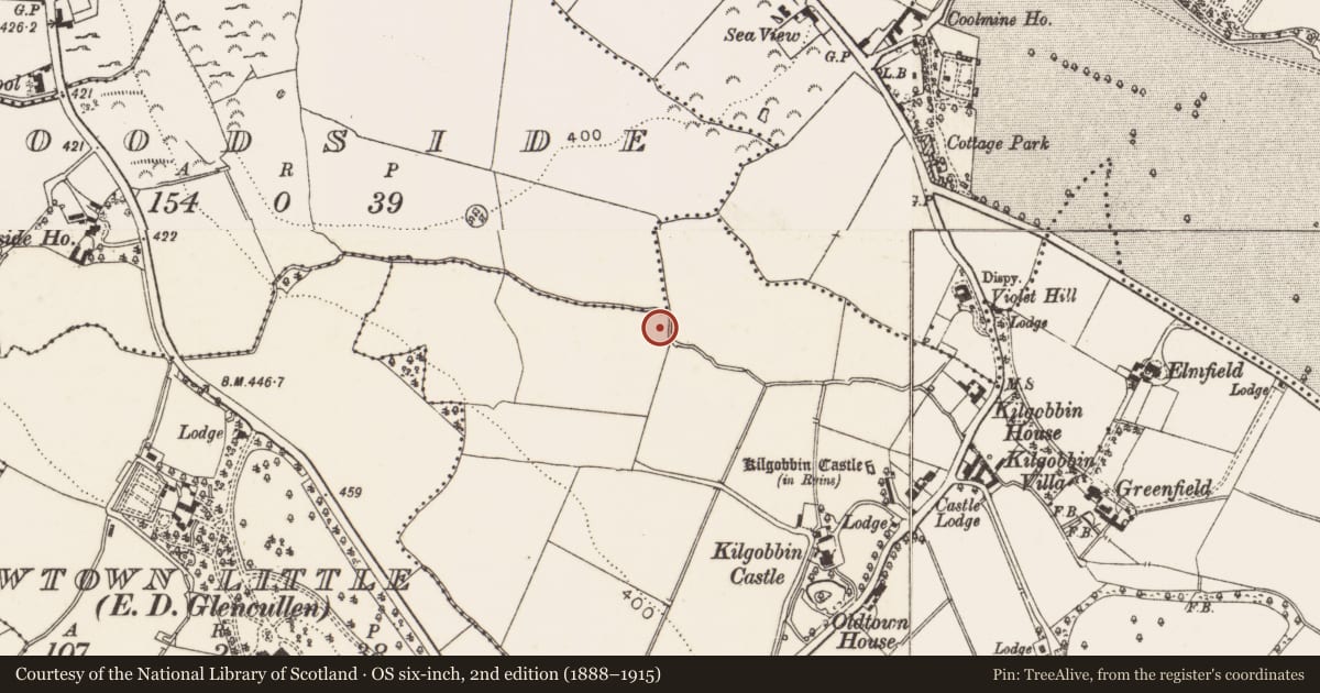 Ordnance Survey six-inch map, 2nd edition (1888–1915) covering the location of Burnt mound, Kilgobbin, County Dublin, with a pin at the register's coordinates