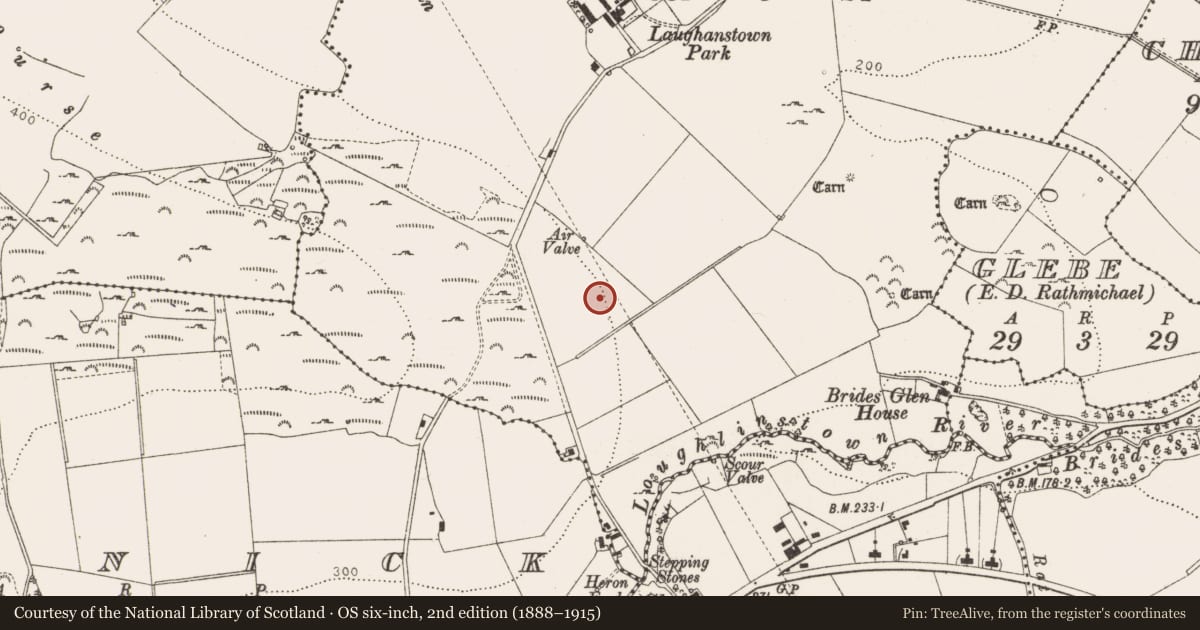 Ordnance Survey six-inch map, 2nd edition (1888–1915) covering the location of Enclosure, Laughanstown, County Dublin, with a pin at the register's coordinates
