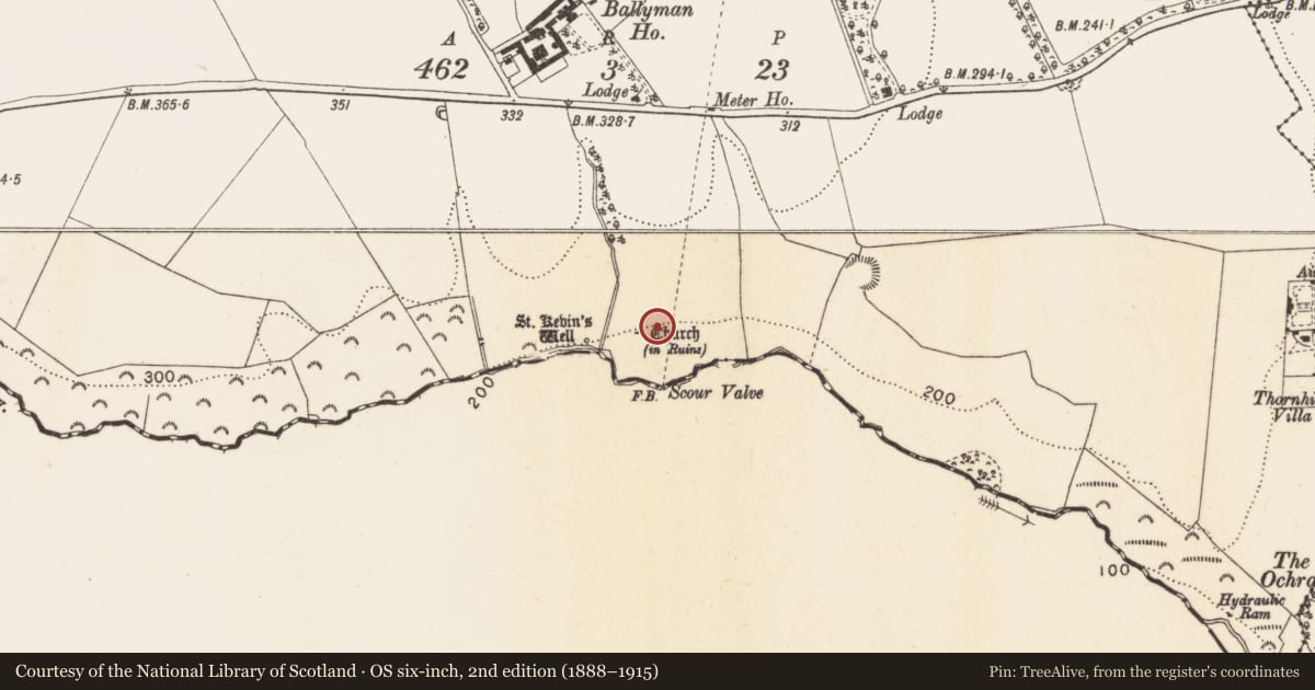 Ordnance Survey six-inch map, 2nd edition (1888–1915) covering the location of Ecclesiastical enclosure, Ballyman, County Dublin, with a pin at the register's coordinates