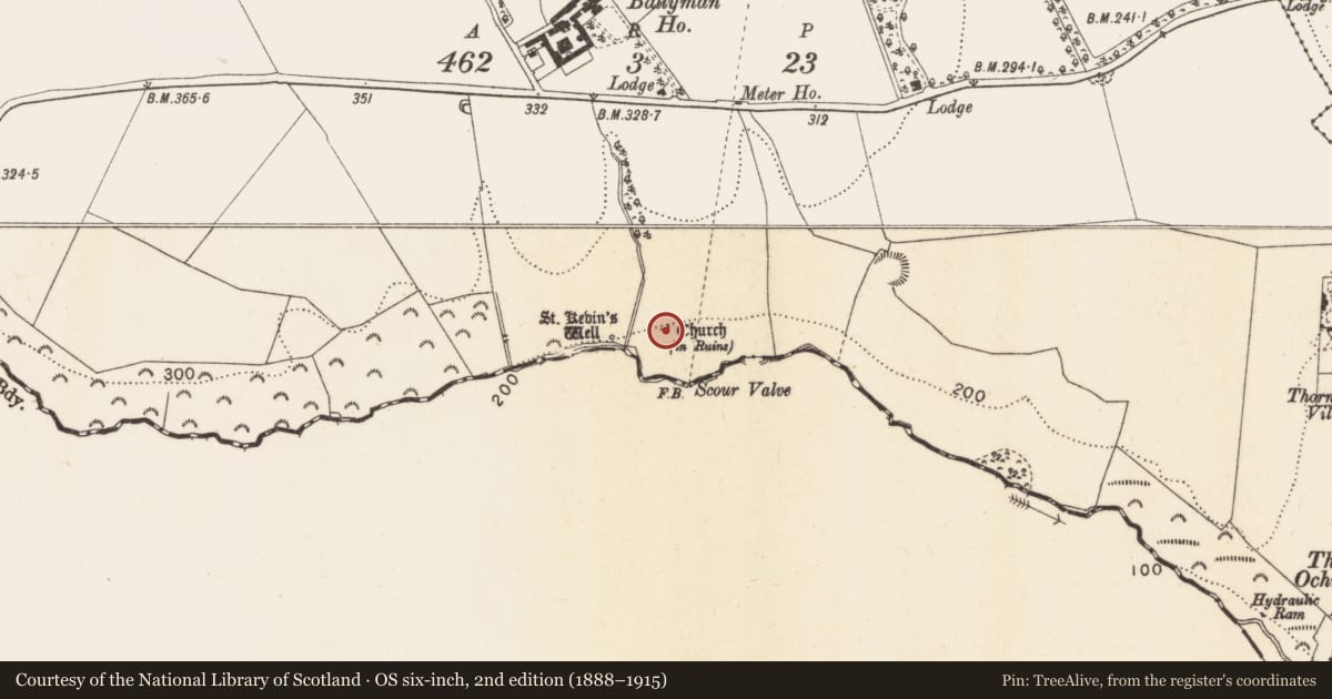 Ordnance Survey six-inch map, 2nd edition (1888–1915) covering the location of Church, Ballyman, County Dublin, with a pin at the register's coordinates
