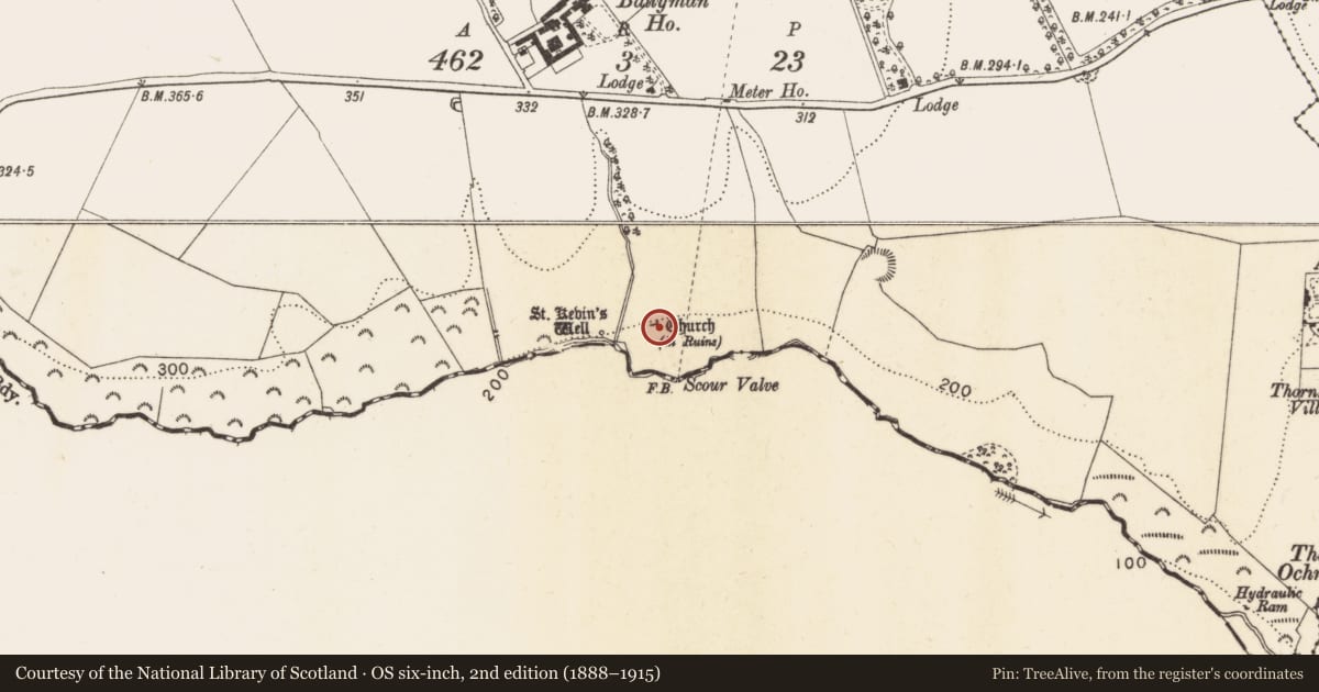 Ordnance Survey six-inch map, 2nd edition (1888–1915) covering the location of Graveslab, Ballyman, County Dublin, with a pin at the register's coordinates