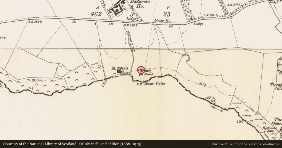 Ordnance Survey six-inch map, 2nd edition (1888–1915) covering the location of Kiln - corn-drying, Ballyman, County Dublin, with a pin at the register's coordinates