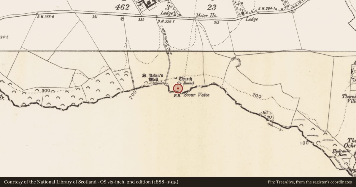 Ordnance Survey six-inch map, 2nd edition (1888–1915) covering the location of Graveyard, Ballyman, County Dublin, with a pin at the register's coordinates