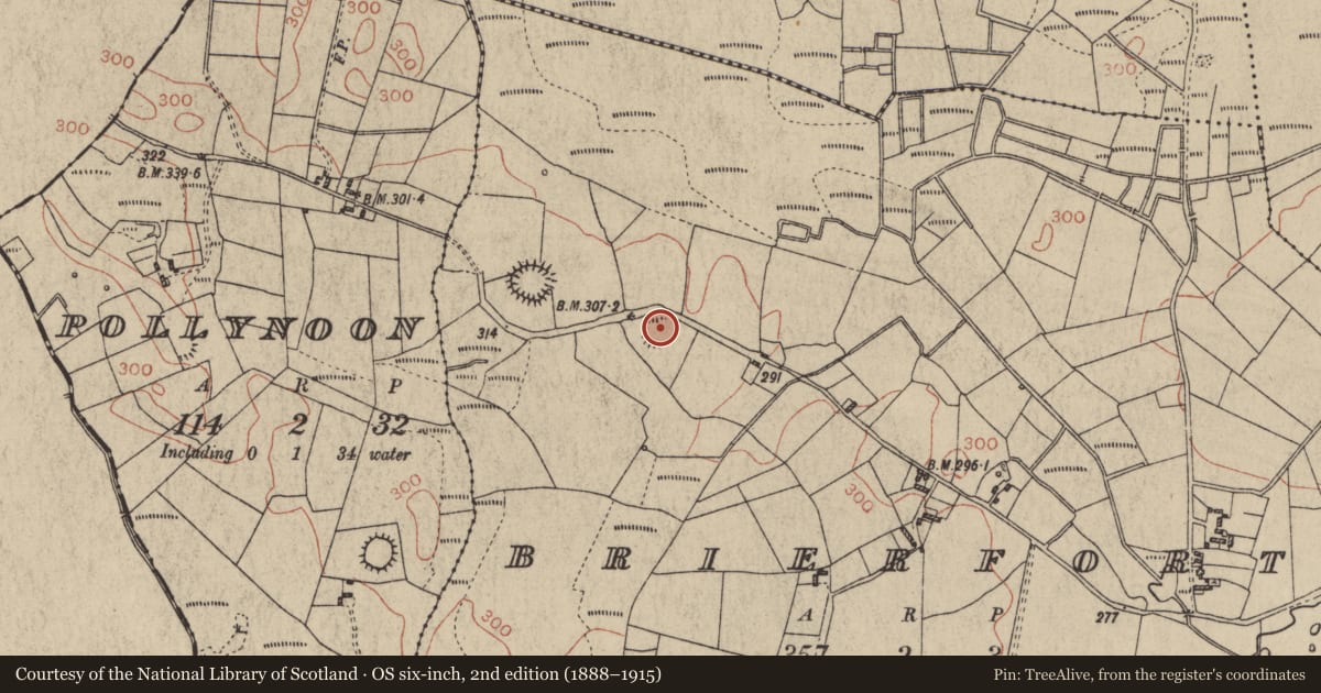 Ordnance Survey six-inch map, 2nd edition (1888–1915) covering the location of Ringfort - rath, Brierfort, County Galway, with a pin at the register's coordinates