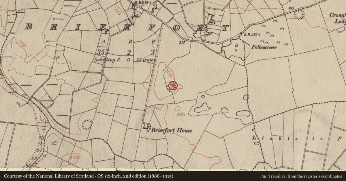 Ordnance Survey six-inch map, 2nd edition (1888–1915) covering the location of Ringfort - rath, Brierfort, County Galway, with a pin at the register's coordinates