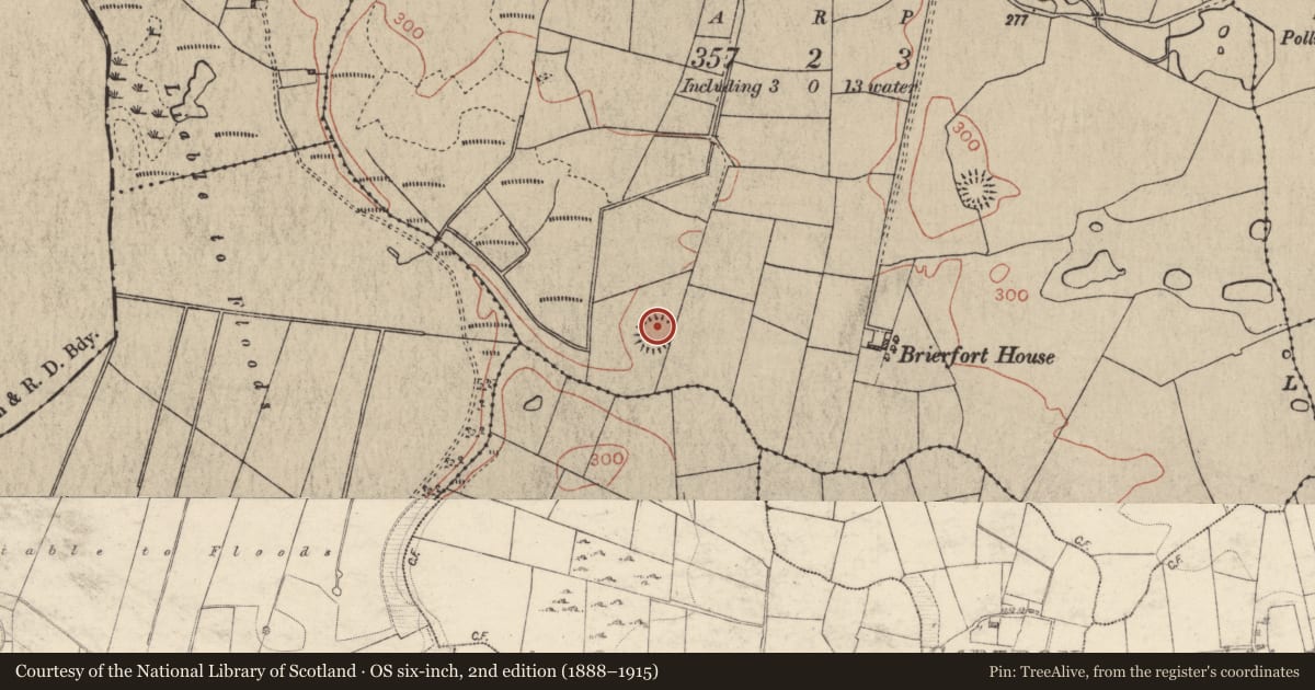 Ordnance Survey six-inch map, 2nd edition (1888–1915) covering the location of Ringfort - rath, Brierfort, County Galway, with a pin at the register's coordinates