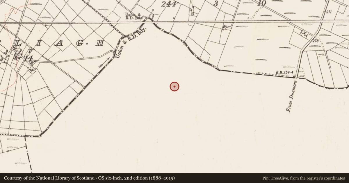 Ordnance Survey six-inch map, 2nd edition (1888–1915) covering the location of Castle - unclassified, Castlefield, County Galway, with a pin at the register's coordinates