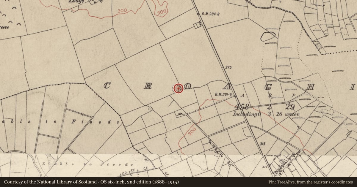 Ordnance Survey six-inch map, 2nd edition (1888–1915) covering the location of Quarry, Croaghill, County Galway, with a pin at the register's coordinates