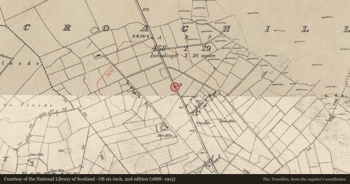 Ordnance Survey six-inch map, 2nd edition (1888–1915) covering the location of Kiln - corn-drying, Croaghill, County Galway, with a pin at the register's coordinates