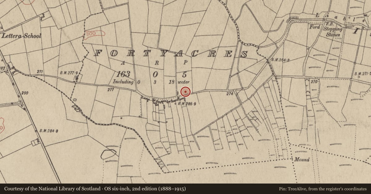 Ordnance Survey six-inch map, 2nd edition (1888–1915) covering the location of Kiln - corn-drying, Fortyacres, County Galway, with a pin at the register's coordinates