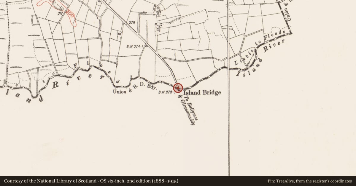 Ordnance Survey six-inch map, 2nd edition (1888–1915) covering the location of Bridge, Island East, County Galway, with a pin at the register's coordinates