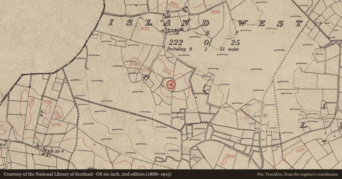 Ordnance Survey six-inch map, 2nd edition (1888–1915) covering the location of Ringfort - rath, Island West, County Galway, with a pin at the register's coordinates
