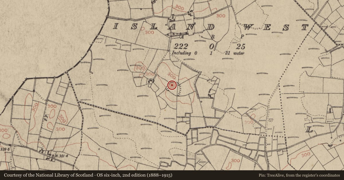 Ordnance Survey six-inch map, 2nd edition (1888–1915) covering the location of House - indeterminate date, Island West, County Galway, with a pin at the register's coordinates