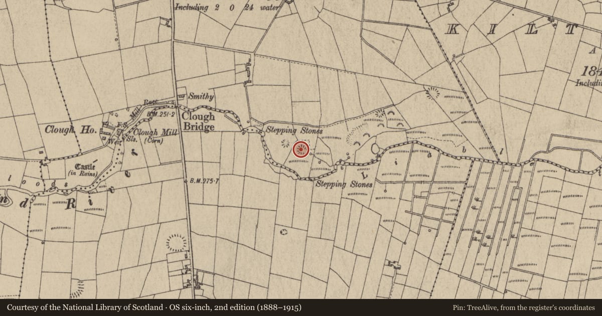 Ordnance Survey six-inch map, 2nd edition (1888–1915) covering the location of Quarry, Knockanarra, County Galway, with a pin at the register's coordinates
