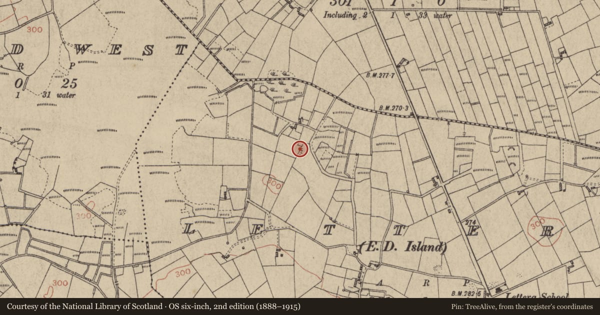 Ordnance Survey six-inch map, 2nd edition (1888–1915) covering the location of Ringfort - rath, Lettera, County Galway, with a pin at the register's coordinates