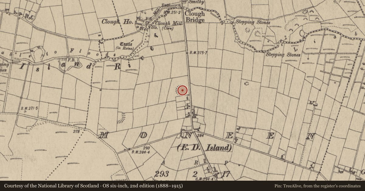 Ordnance Survey six-inch map, 2nd edition (1888–1915) covering the location of Ringfort - rath, Moneen, County Galway, with a pin at the register's coordinates